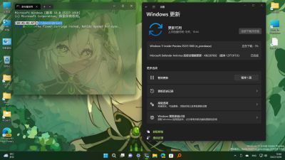 Windows 11 (Dev)-2022-10-28-10-46-03.png