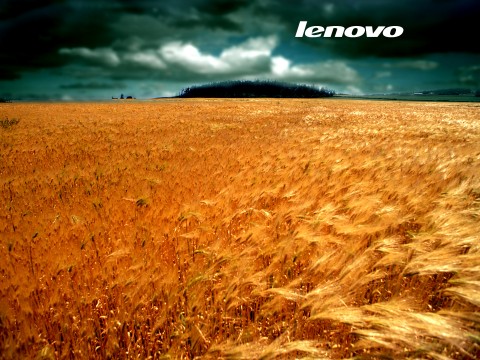 Lenovo_Autumn.jpg